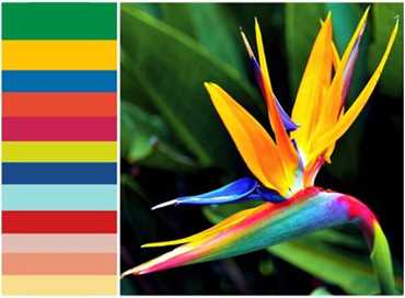 Picture for category Colour Forecasting