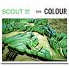 Picture of Scout Colour & Trend Men