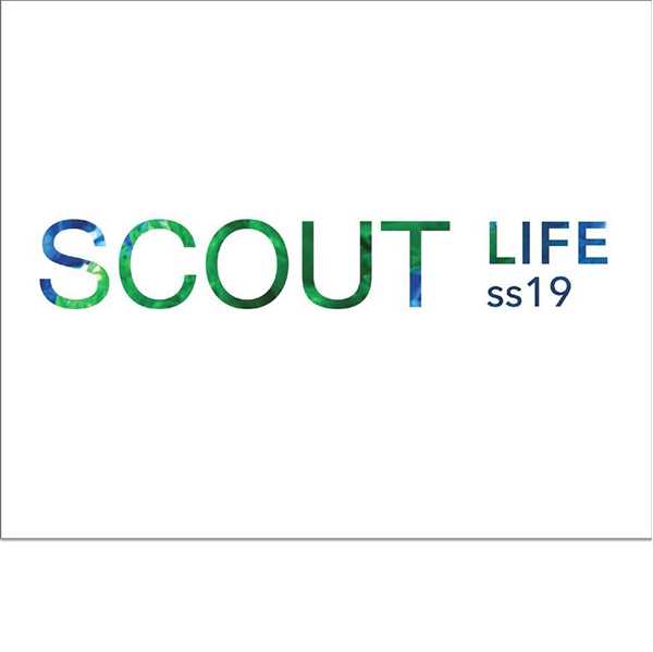 Bild på Scout Life Book