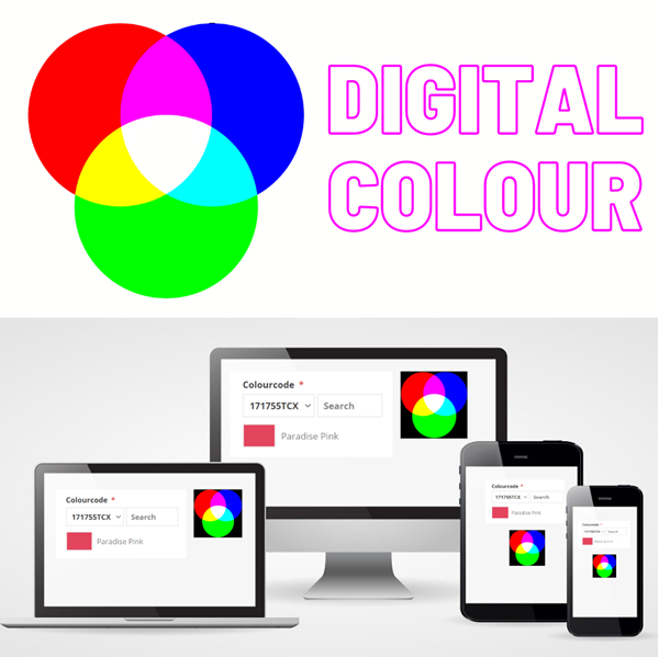 PANTONE RGB digital colour PLM