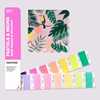 Picture of Pastels & Neon Guide C&U - New