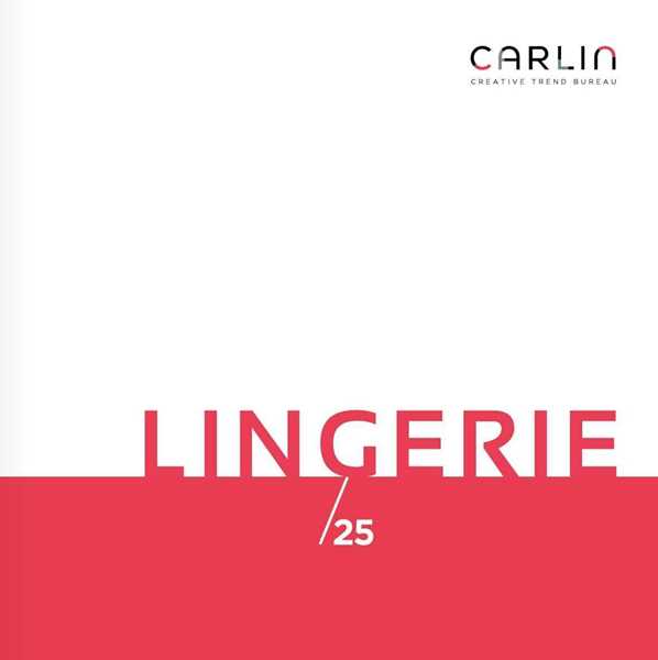 Bild på Carlin Lingerie Book+Ebook