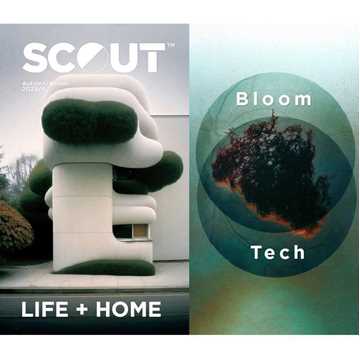Picture of Scout Life+Home aw 2025-26