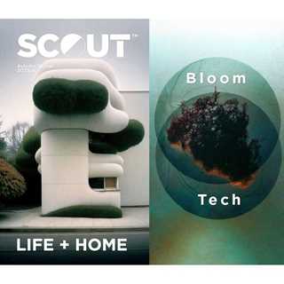 Picture of Scout Life+Home Book&Ebook