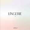 Picture of Carlin Lingerie Book+Ebook