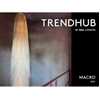 Picture of Trendhub Macro Ebook No 4 - 2027