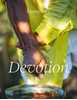 Picture of Luminary Colour book no. 33