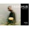 Picture of Trendhub Men aw 2027-28