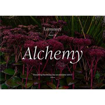 Picture of Luminary Colour book no. 34