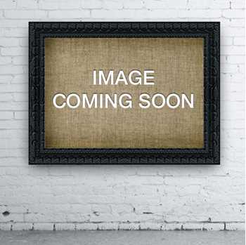 Picture for manufacturer Nelly Rodi